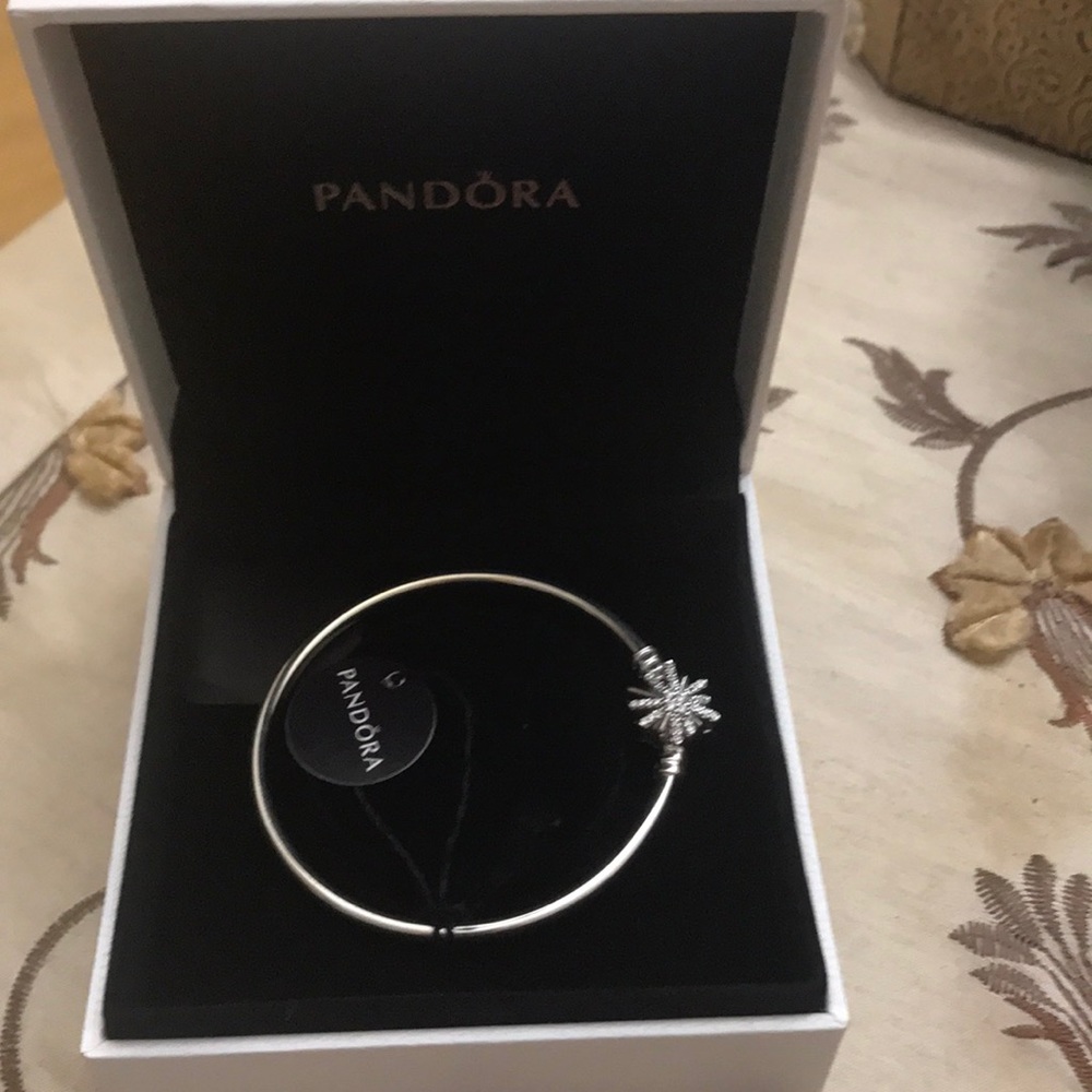 Pandora bracelet